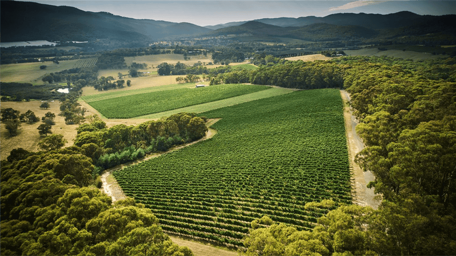 Giant Steps Applejack Vineyard Pinot Noir 2021
